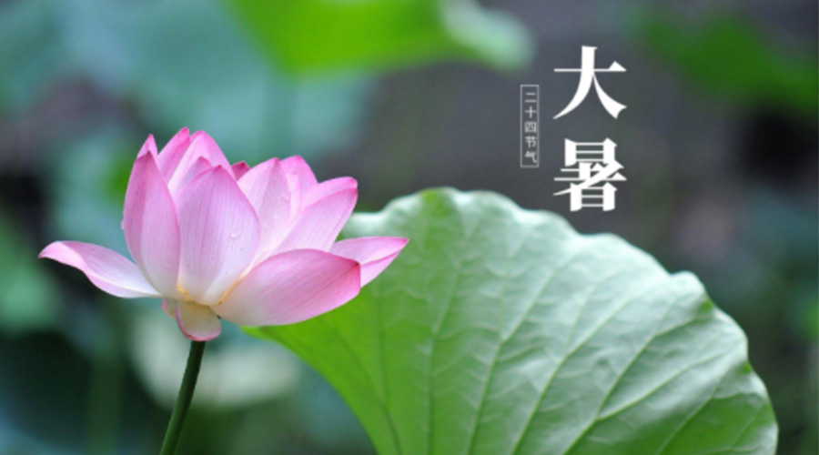 大暑時(shí)節(jié)！金環(huán)電器提醒大家注意這些干衣細(xì)節(jié)