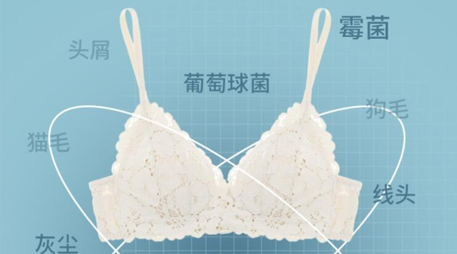 分析內(nèi)衣褲小型烘干機到底該不該買