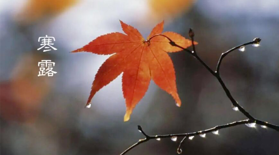 寒露時節(jié)！金環(huán)電器提醒大家要注意的事項