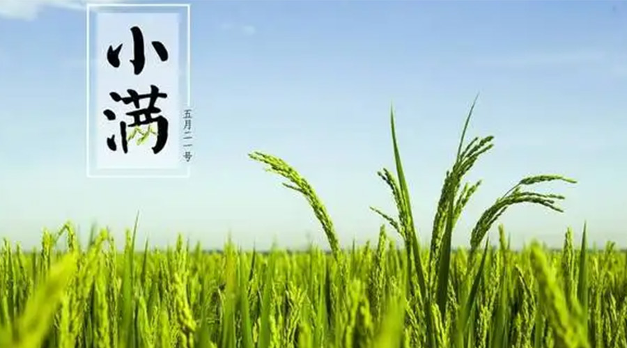 小滿(mǎn)時(shí)節(jié)！金環(huán)電器提醒大家要注意的事項(xiàng)