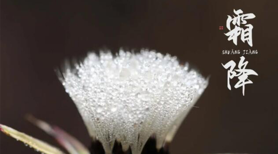 霜降時(shí)節(jié)！金環(huán)電器提醒大家要注意的事項(xiàng)