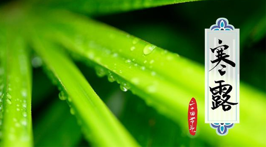 寒露時節(jié)到！金環(huán)電器提醒這些干衣事項要注意