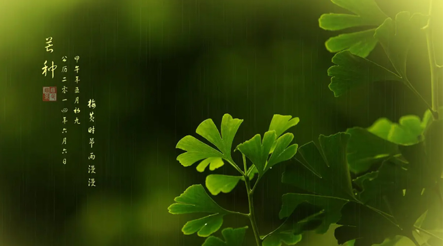 芒種時(shí)節(jié)！金環(huán)電器提醒大家的注意事項(xiàng)