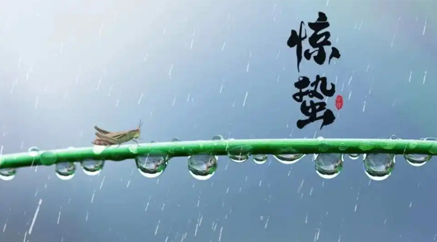 驚蟄時(shí)節(jié)！金環(huán)電器提醒大家干衣要注意這些