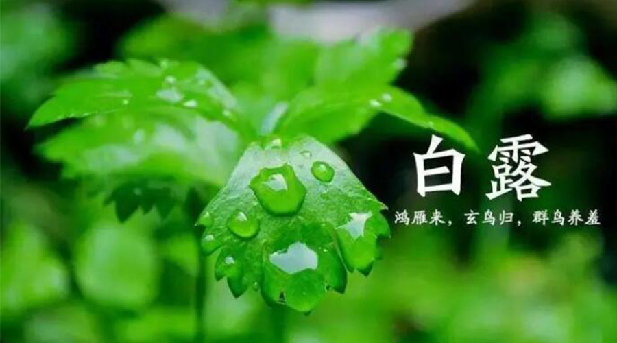 白露時節(jié)！金環(huán)電器提醒大家要注意的事項
