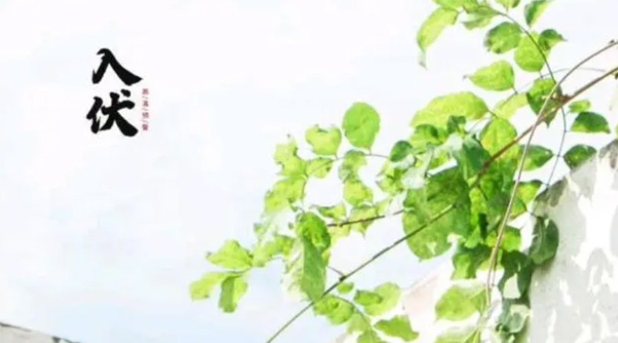 初伏時節(jié)！金環(huán)電器提醒大家要注意的事項(xiàng)