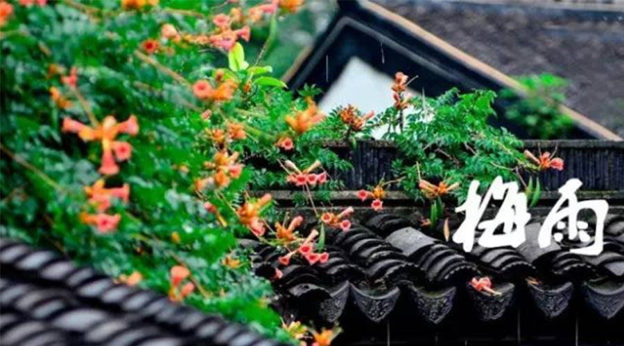 什么是梅雨？梅雨如何形成？  金環(huán)電器告訴你答案